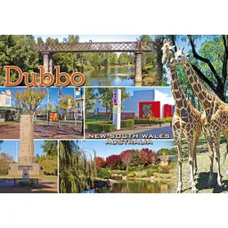 Dubbo