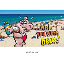 Koala Wish You Were Here Beach