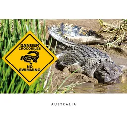 Croc Roadsign