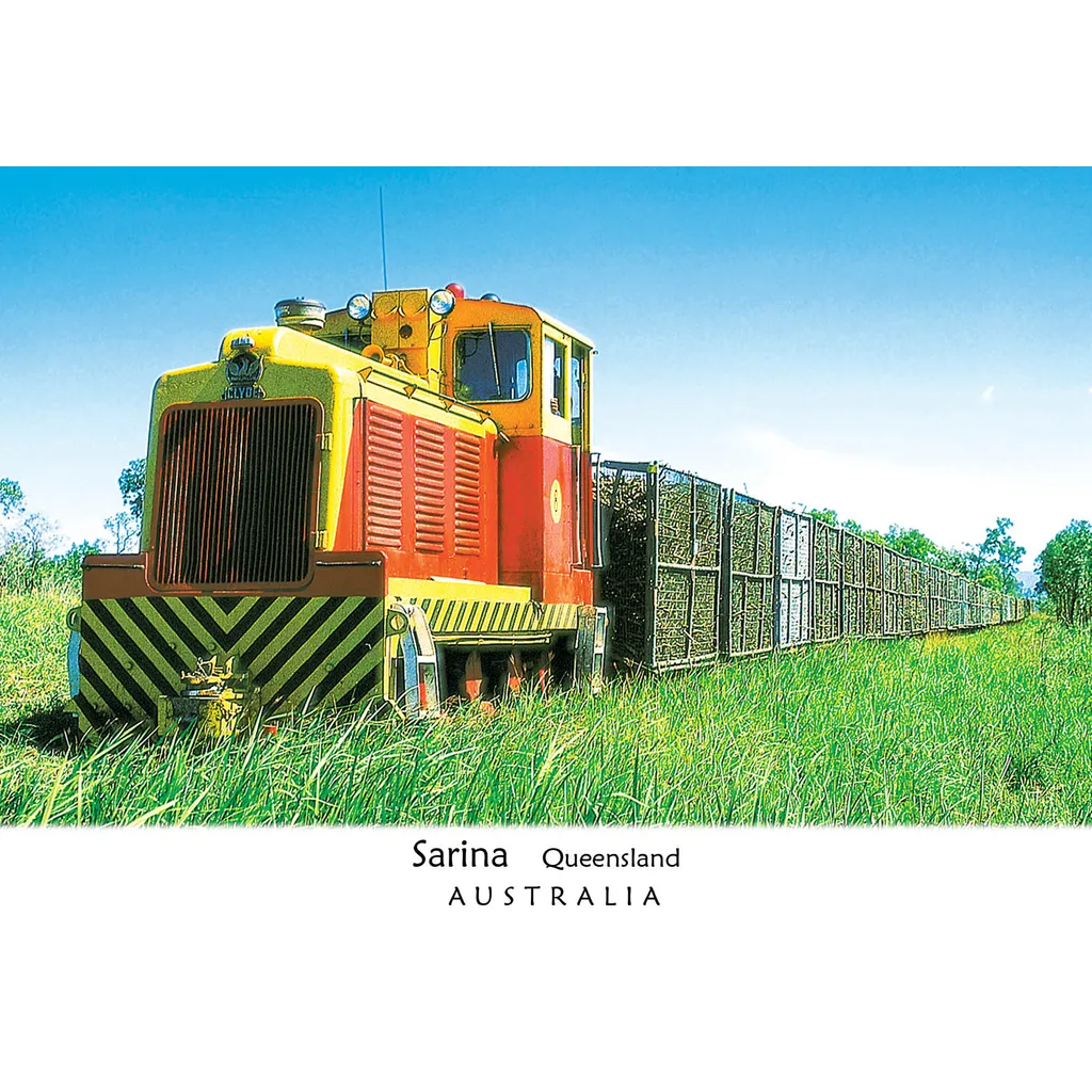 Sarina Cane Train