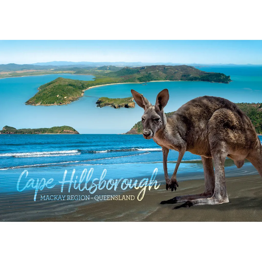 Cape Hillsborough Kangaroo