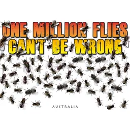 One Million Flies Can't be Wrong