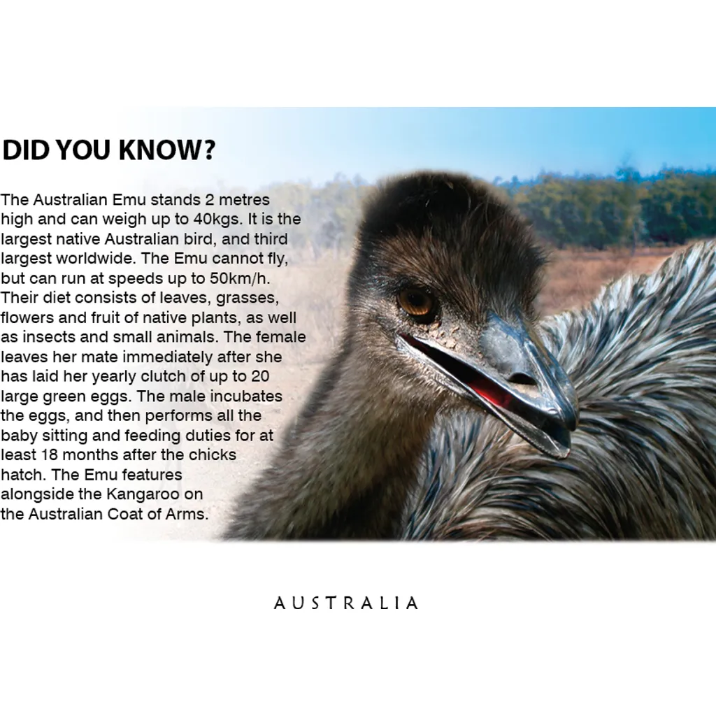 Emu