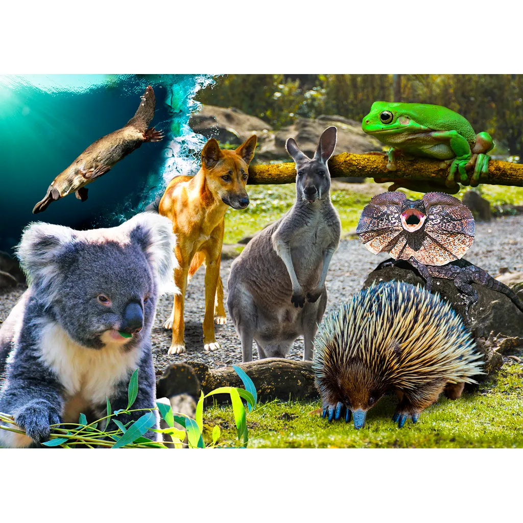 CARD - 3D - Australian Wildlife