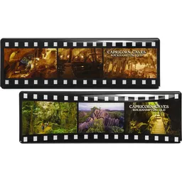 Film View Magnet