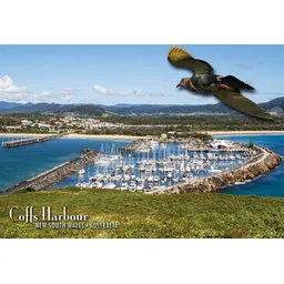 Coffs Harbour Marina