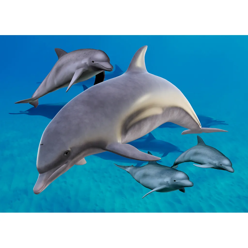 CARD -  3D - Dolphins