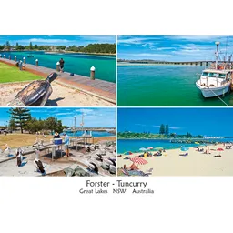 Forster Tuncurry 4 view