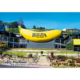  The Big Banana