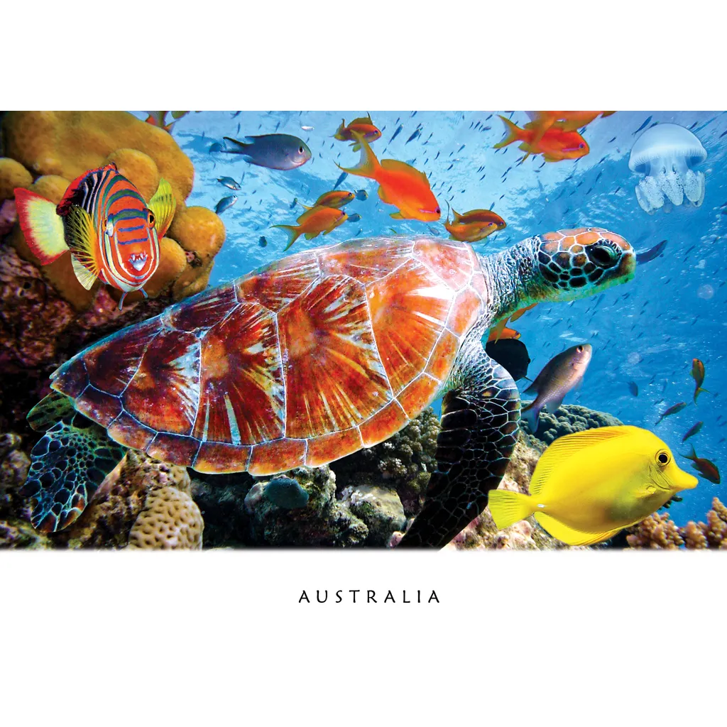 Great Barrier Reef Turtle Fish