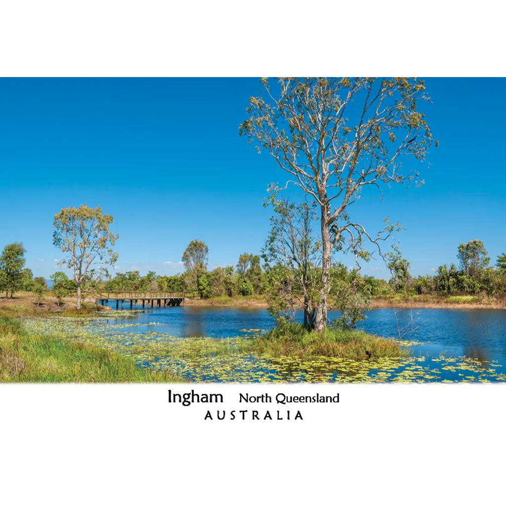 Tyto Wetlands Ingham