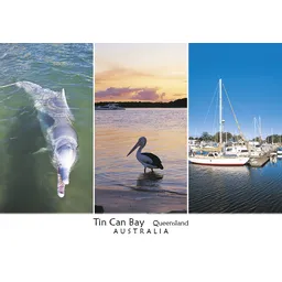 Tin Can Bay 3 View