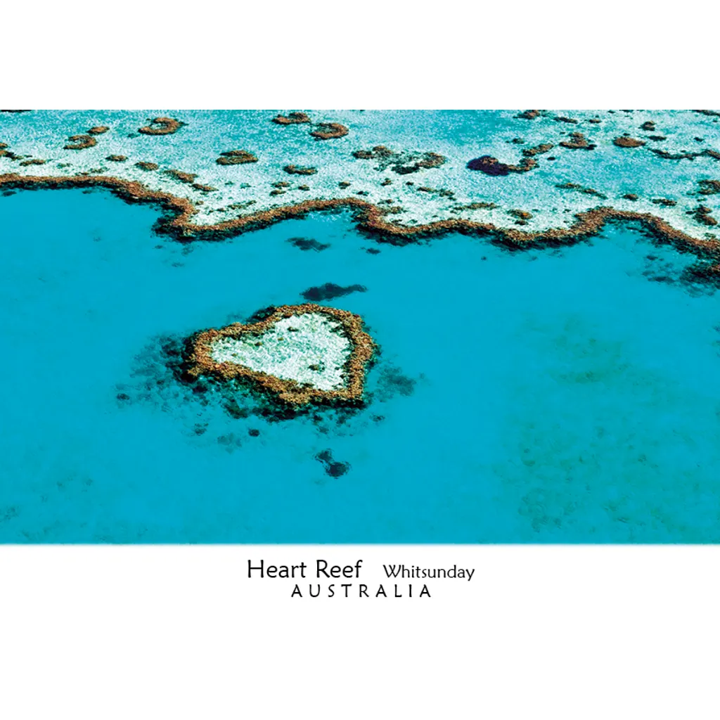 Hear Reef Whitsundays