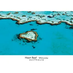 Hear Reef Whitsundays