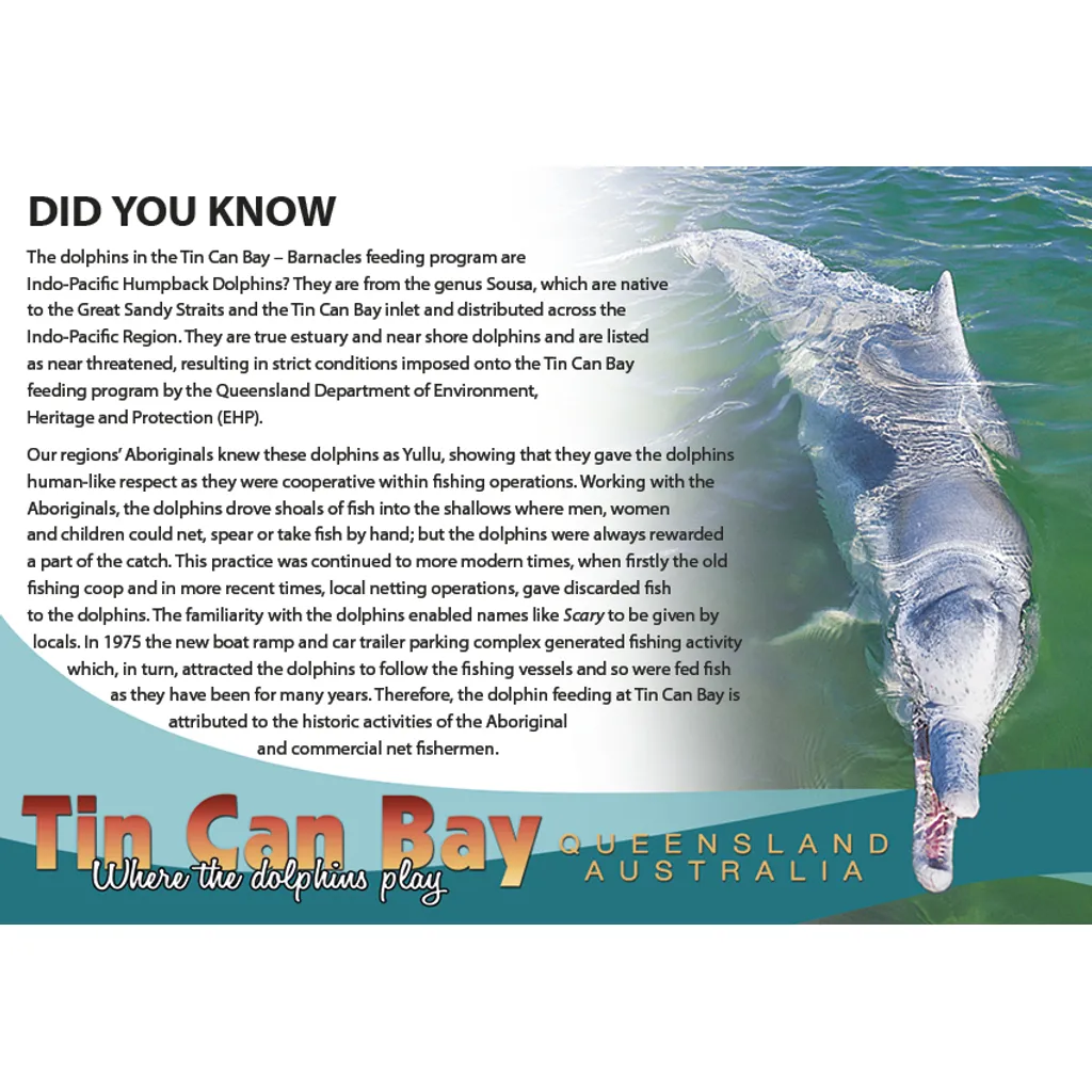 Tin Can Bay - Did You Know