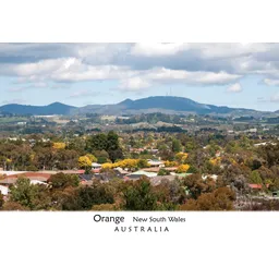 Orange