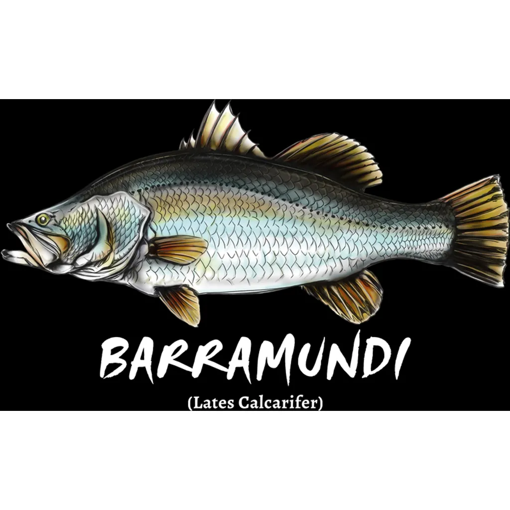 Barramundi