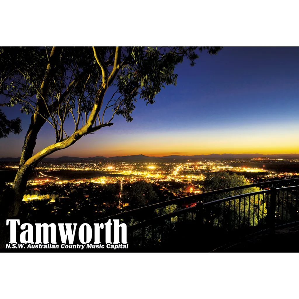 Overlooking Tamworth at night