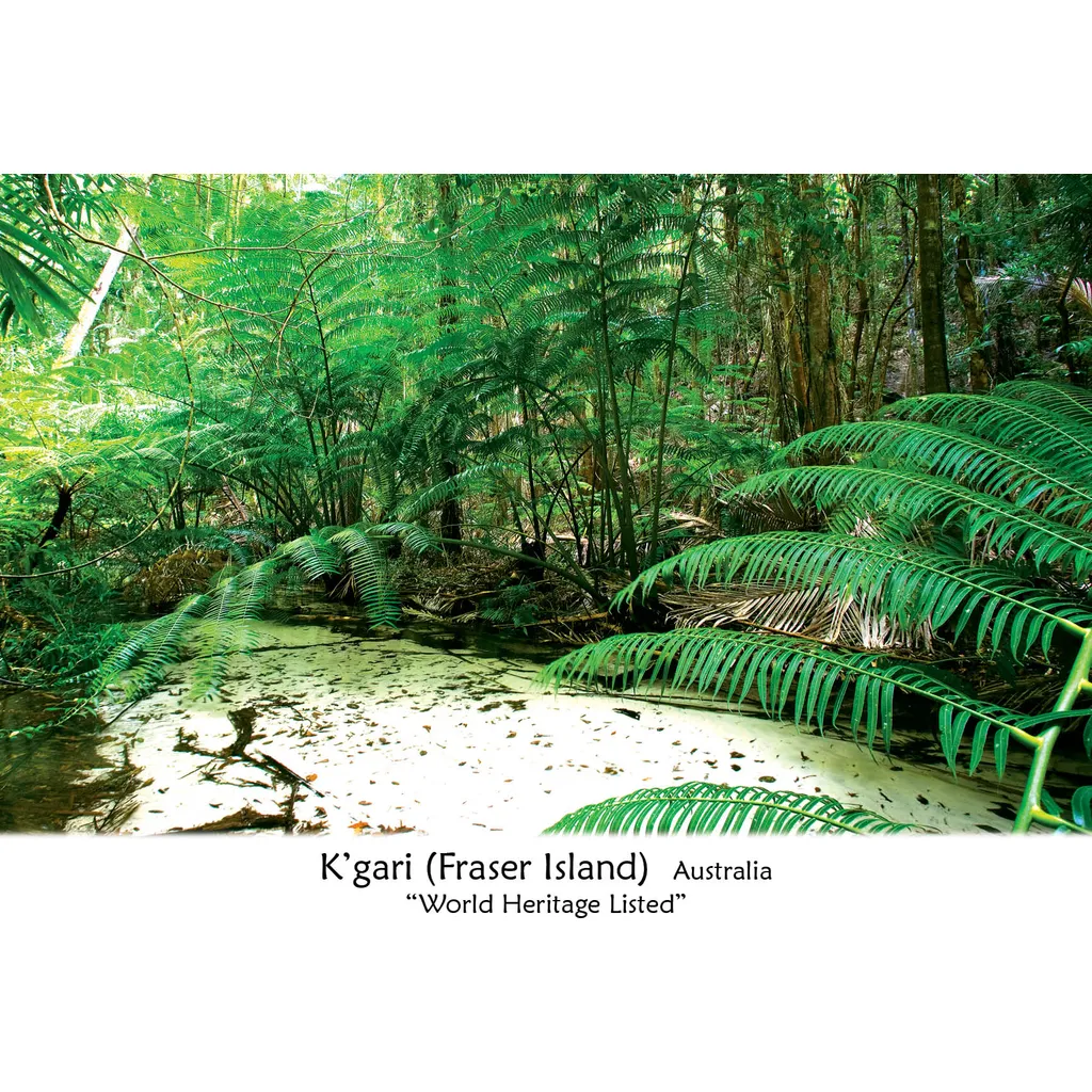 Kgari Fraser Island Wanggoolba Creek