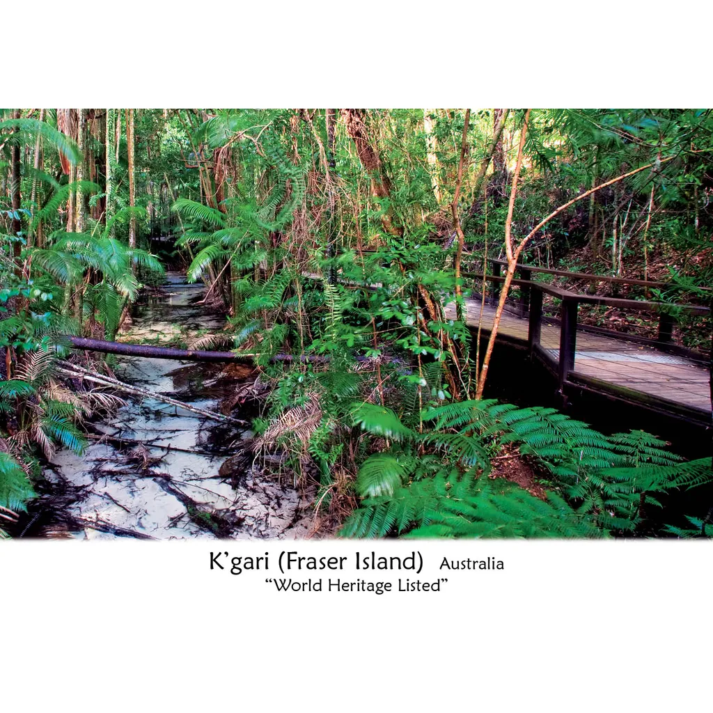 Kgari Fraser Island Wanggoolba Creek