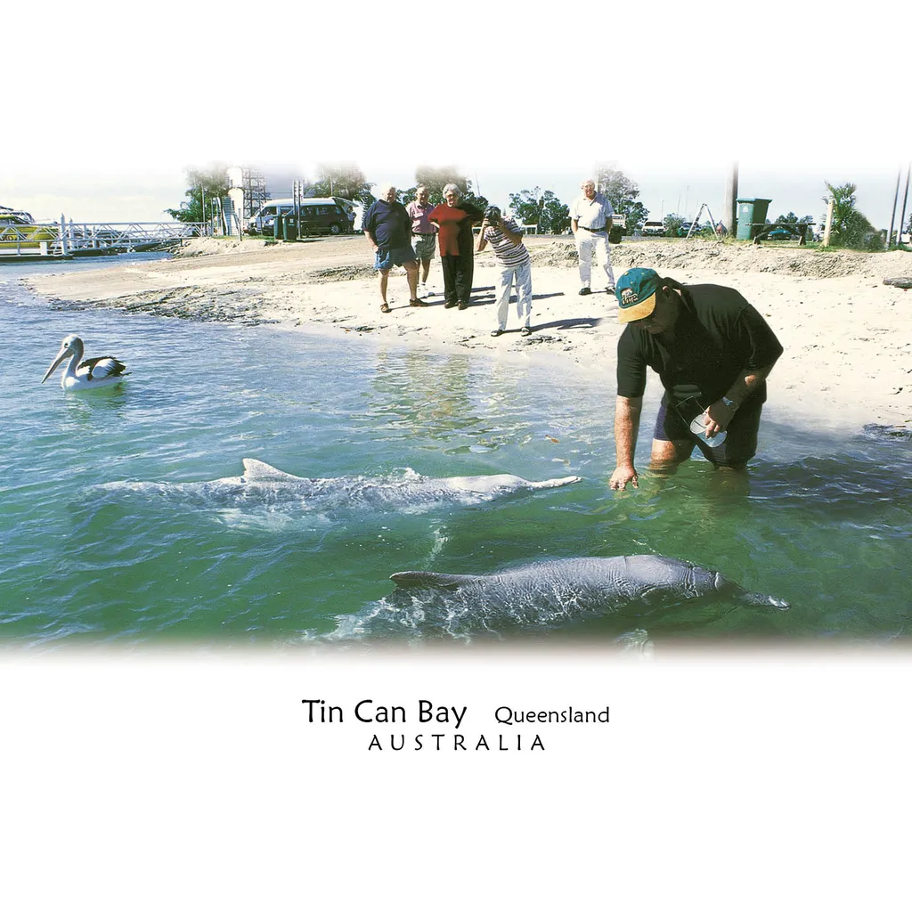 Tin Can Bay