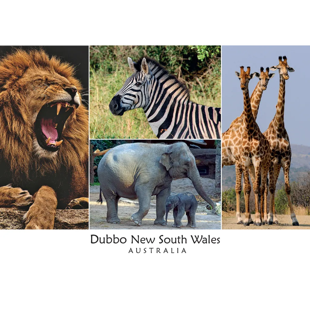 4 View Lion Elephant Zebra Giraffe Dubbo