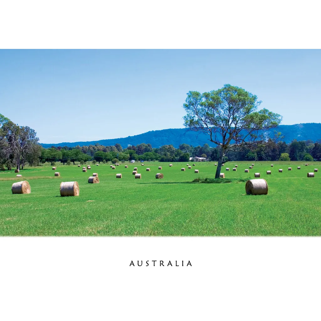 Bales of Hay