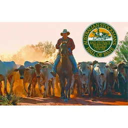 CARD - Lenticular - Cattle Mustering ASHOF Longreach