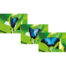 CARD -  3D - Butterfly