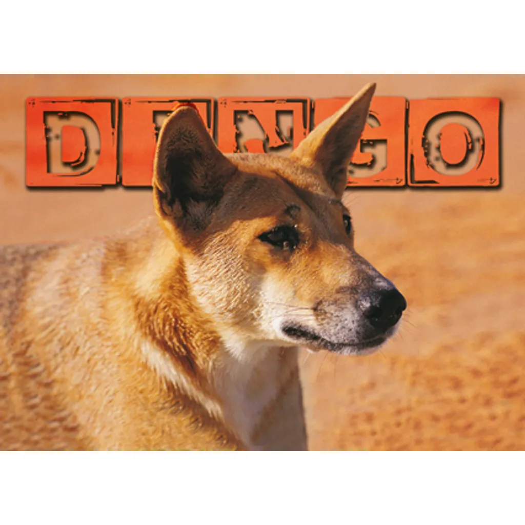 Dingoes Lenticular Magnet