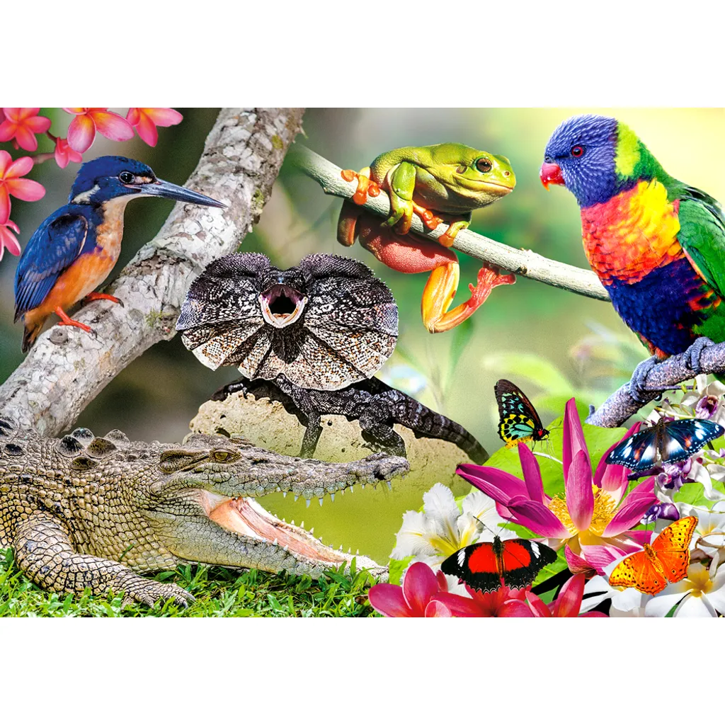 CARD - 3D - Australian Wildlife